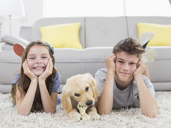 Cmo preparar la llegada de un cachorro